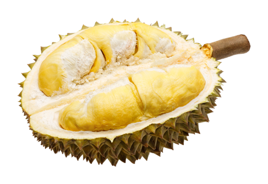 Durian Monthong