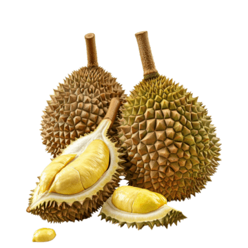 Paket Durian